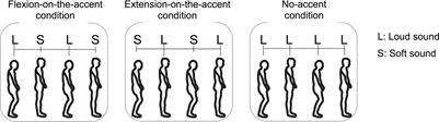 Accent Stabilizes 1:2 Sensorimotor Synchronization of Rhythmic Knee Flexion-Extension Movement in Upright Stance